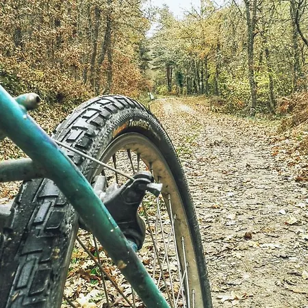 La Casita / Santa Gadea (Castile and Leon)