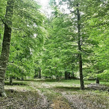 Apartmán La Casita /