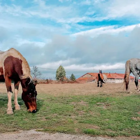 La Casita / * Santa Gadea (Castile and Leon)