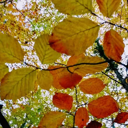 Διαμέρισμα La Casita / *