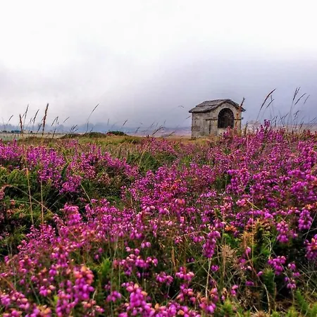 Apartamento La Casita /