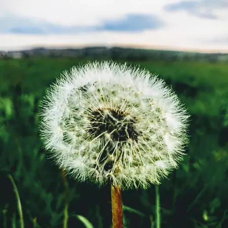La Casita / * Santa Gadea (Castile and Leon)