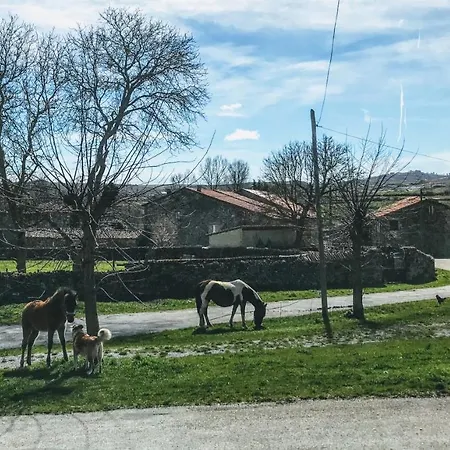 Apartamento La Casita / *