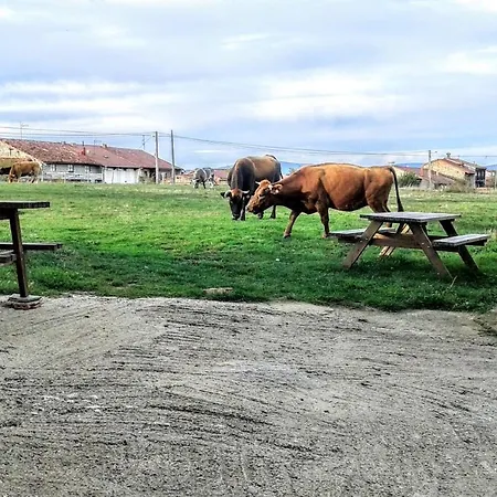 La Casita / Διαμέρισμα *