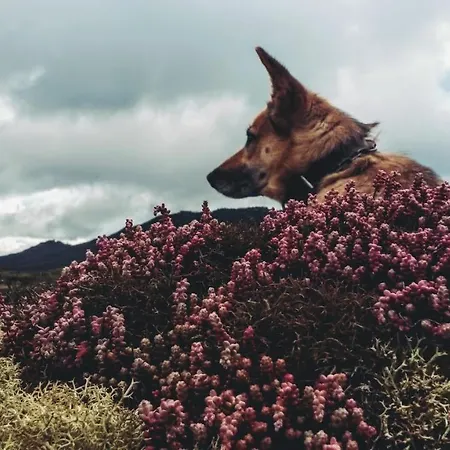 La Casita / Apartmán *
