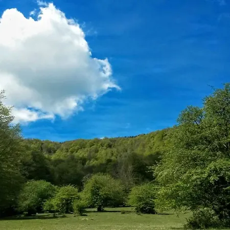 La Casita / Apartmán Santa Gadea (Castile and Leon)