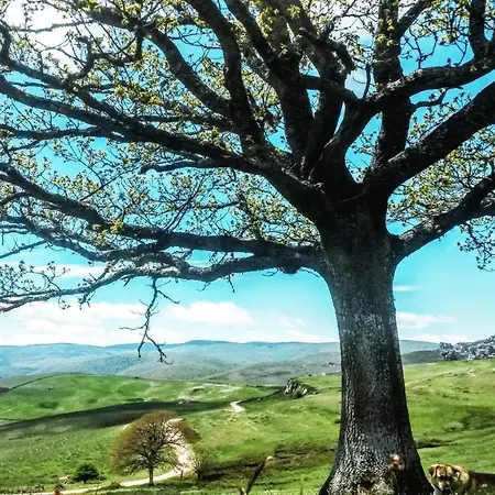 Apartmán La Casita / Santa Gadea (Castile and Leon)