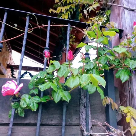 La Casita / * Santa Gadea (Castile and Leon)