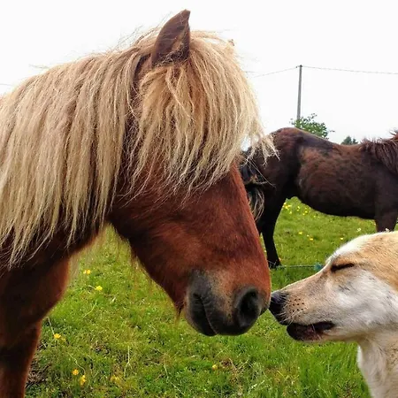 Διαμέρισμα La Casita / *