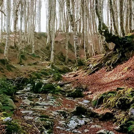 Διαμέρισμα La Casita /