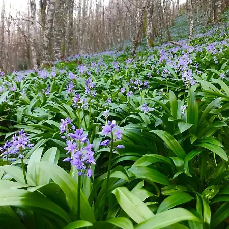 La Casita / Santa Gadea (Castile and Leon)
