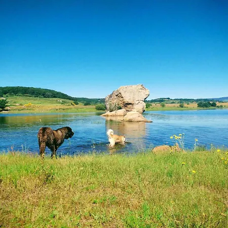 La Casita / Apartamento