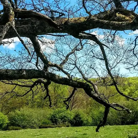 La Casita / Santa Gadea (Castile and Leon)