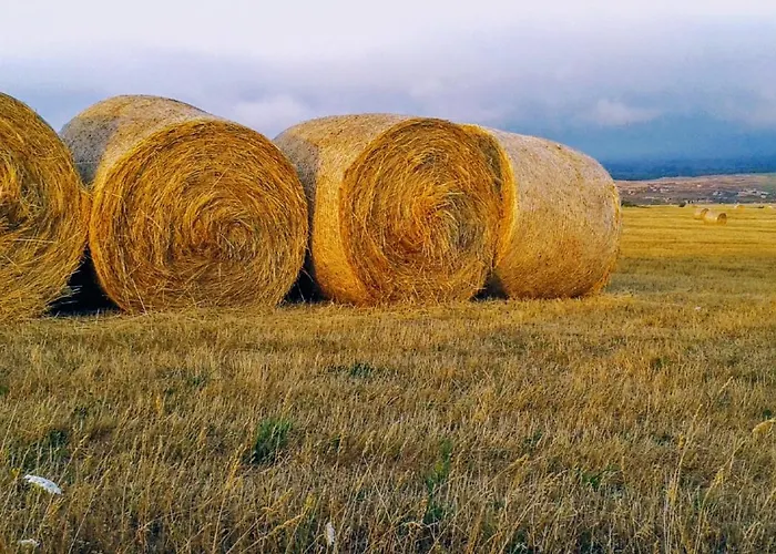 La Casita / * Santa Gadea (Castile and Leon)