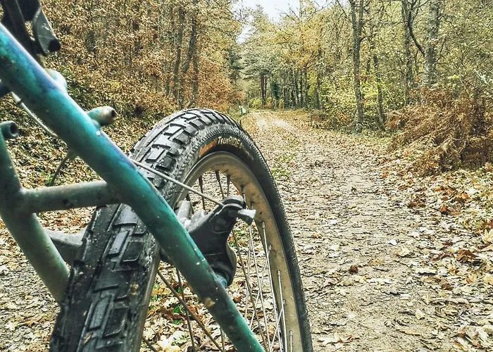 La Casita / Санта-Гадеа