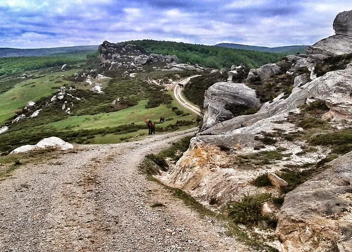 公寓 La Casita / *