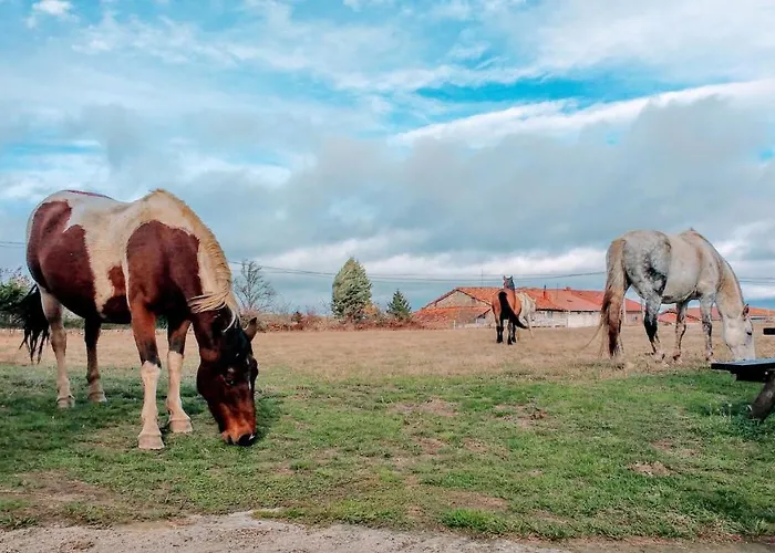 La Casita / * Santa Gadea (Castile and Leon)