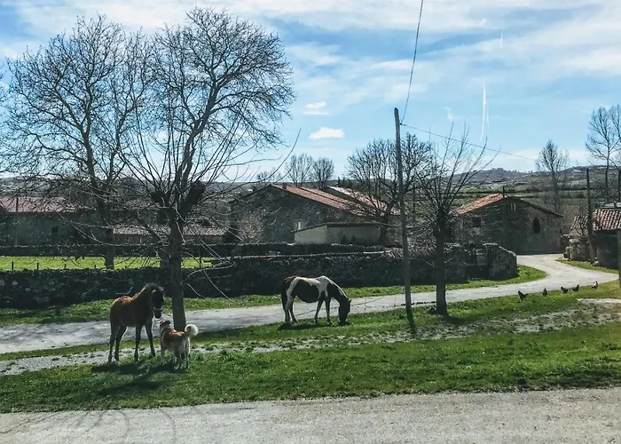 公寓 La Casita / *