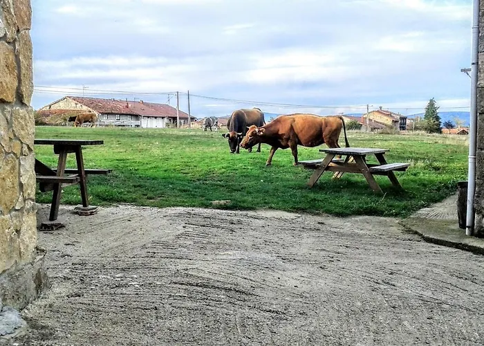 La Casita / 公寓 *