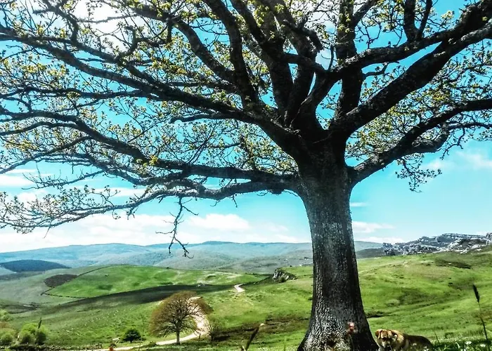 公寓 La Casita / Santa Gadea (Castile and Leon)