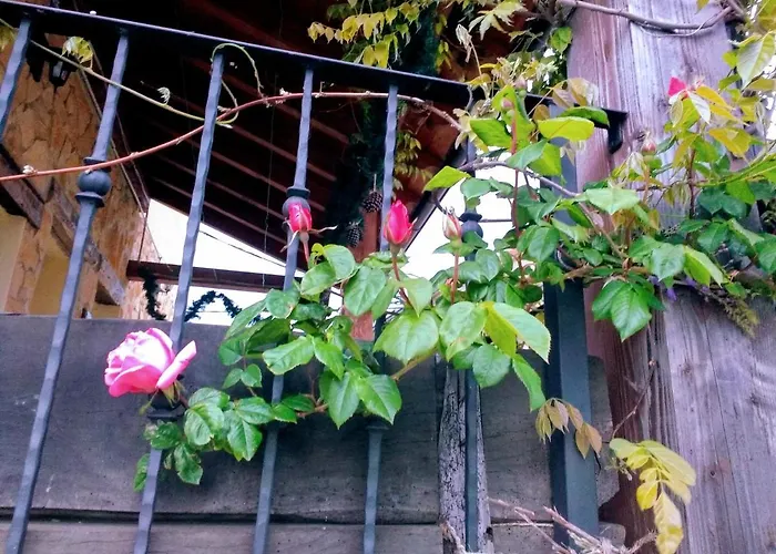 La Casita / * Санта-Гадеа