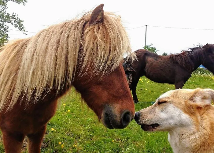 Apartmán La Casita / *