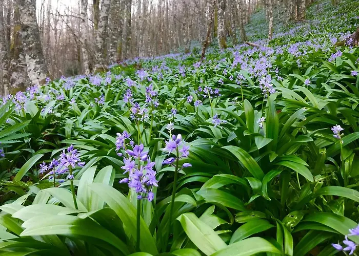 La Casita / Santa Gadea (Castile and Leon)