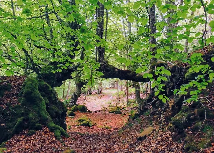 La Casita / 公寓 *