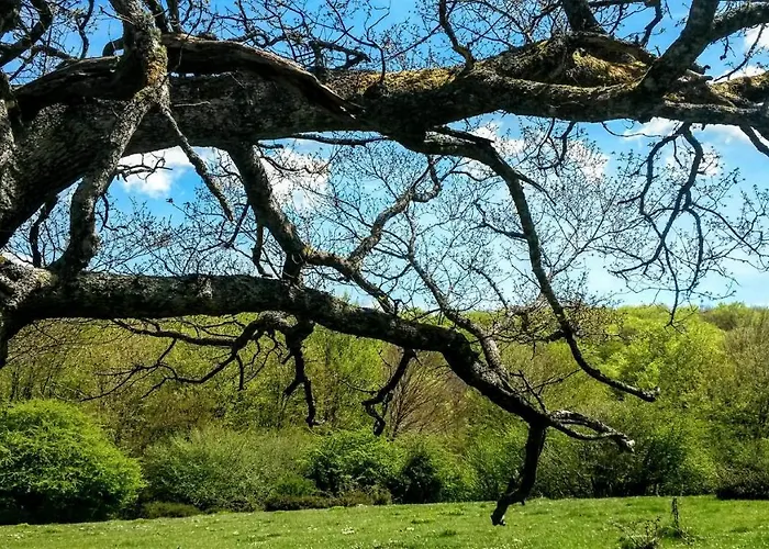 La Casita / Санта-Гадеа